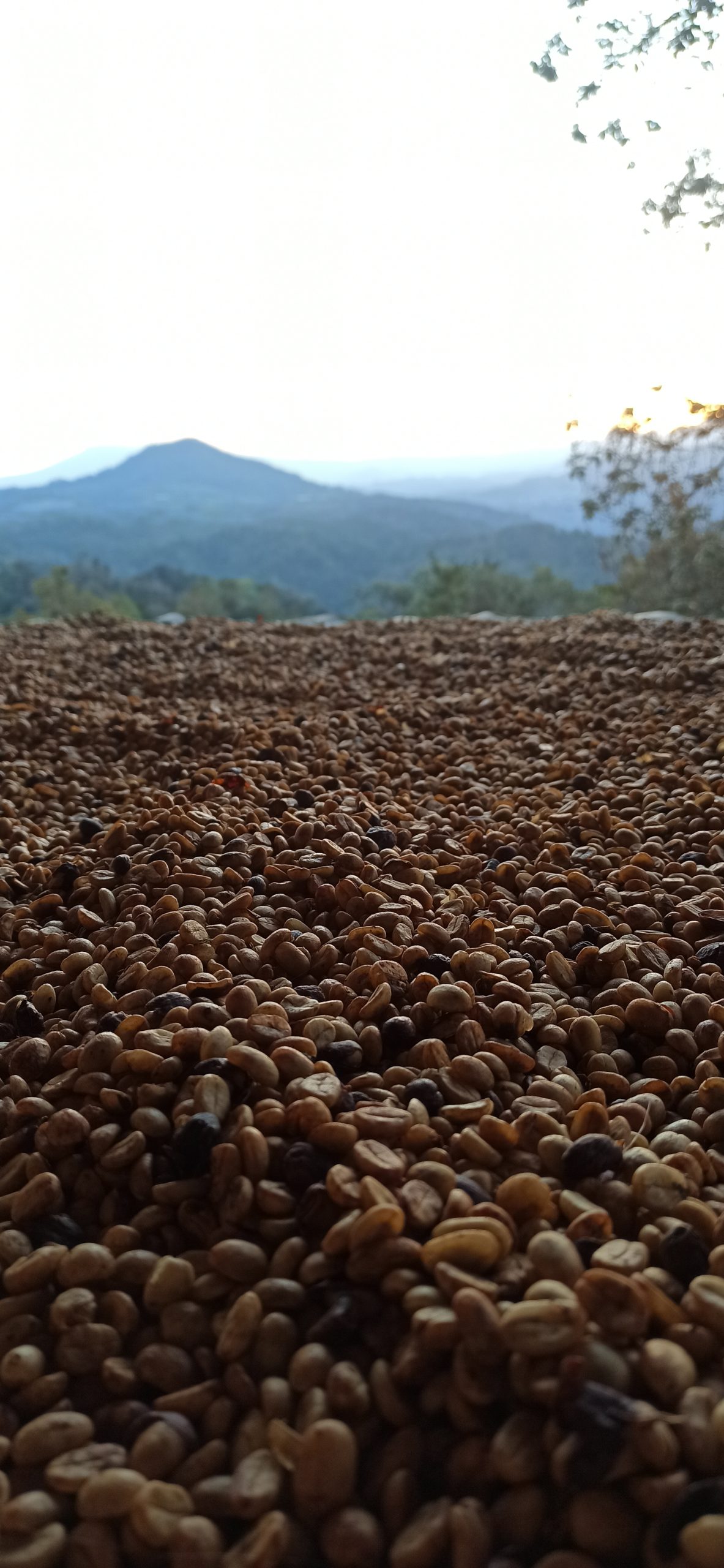 Las Altas Montañas
